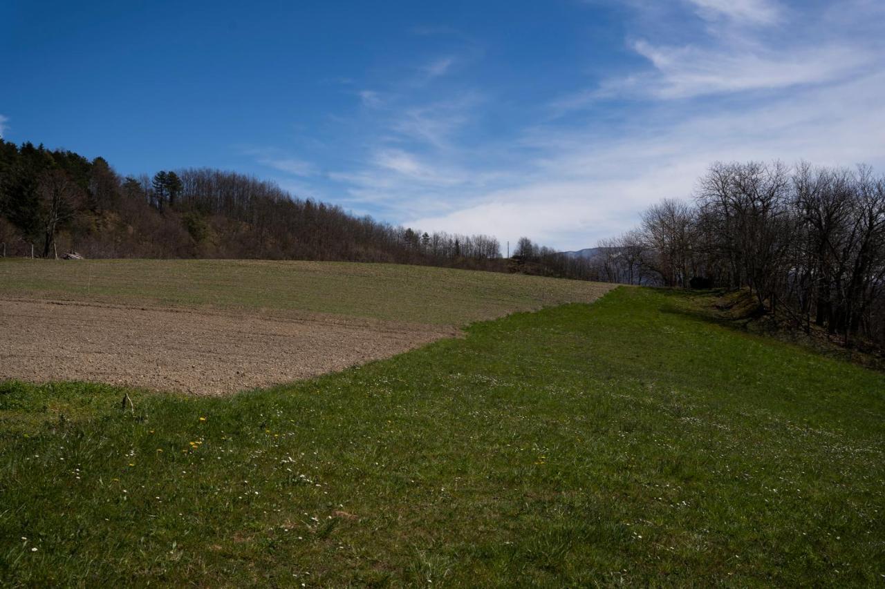 Cavizzano 028 - Agriturismo "Il Boschetto" Con Piscina, Pace E Natura - Camera Familiare المظهر الخارجي الصورة