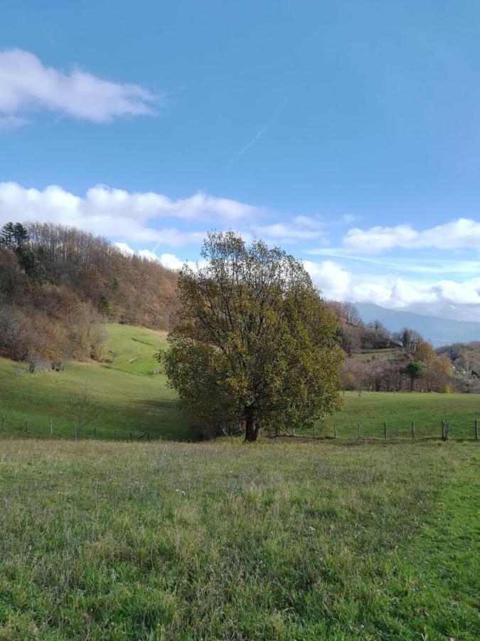 Cavizzano 028 - Agriturismo "Il Boschetto" Con Piscina, Pace E Natura - Camera Familiare المظهر الخارجي الصورة