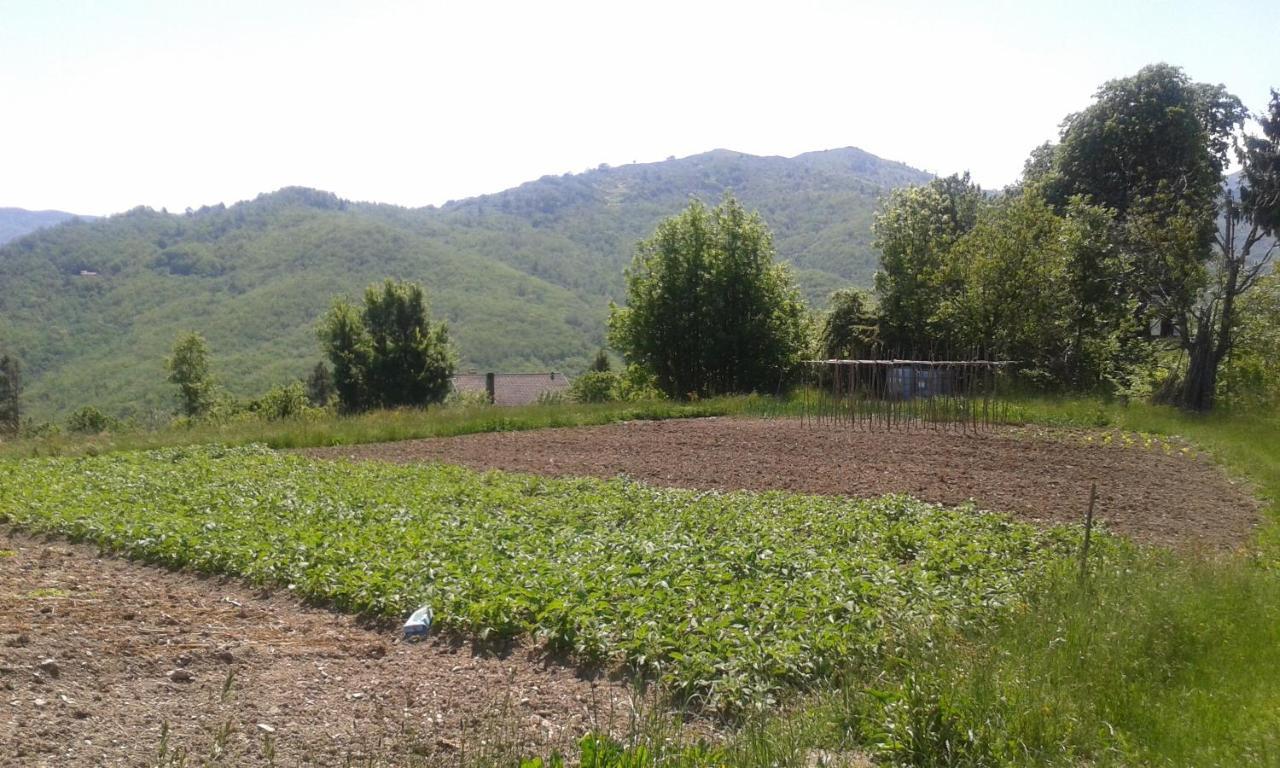 Cavizzano 028 - Agriturismo "Il Boschetto" Con Piscina, Pace E Natura - Camera Familiare المظهر الخارجي الصورة