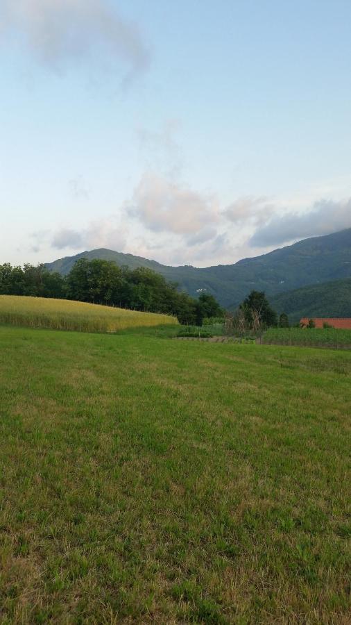 Cavizzano 028 - Agriturismo "Il Boschetto" Con Piscina, Pace E Natura - Camera Familiare المظهر الخارجي الصورة